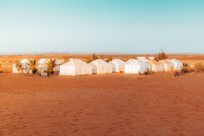 2 Days Desert Private Luxury Couple's Retreat Camel Trek + Quad - What the $415.96 price means