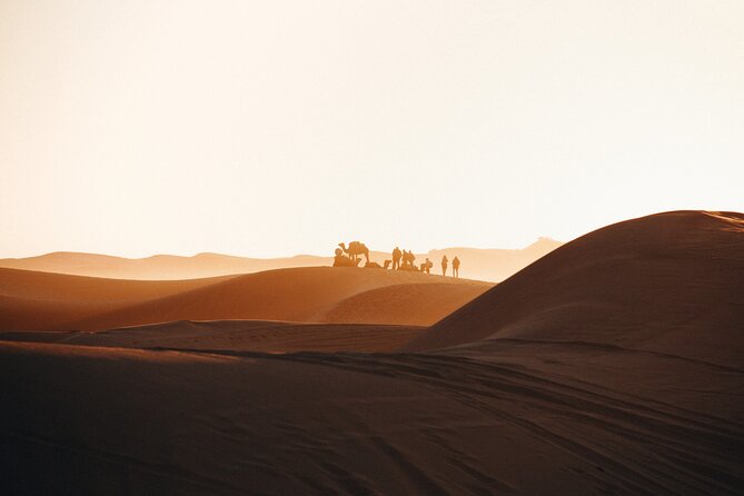 2 Days Desert Private Luxury Couple's Retreat Camel Trek + Quad - The two-hour camel trek at sunset