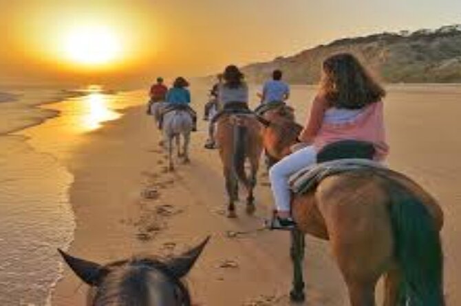 3-Hour Swim with Horses and Romantic Dinner from Hurghada hotels - Riding from Hurghada into the Egyptian desert
