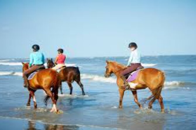 3-Hour Swim with Horses and Romantic Dinner from Hurghada hotels - The shoreline and short ride into the Red Sea