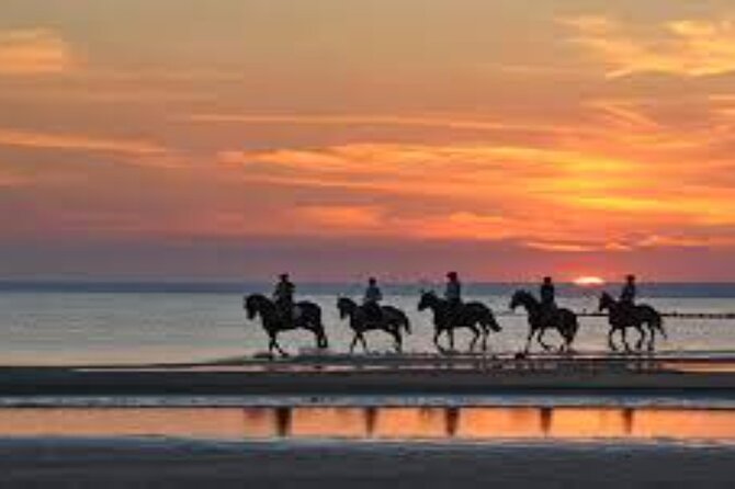 3-Hour Swim with Horses and Romantic Dinner from Hurghada hotels - Who should book this horseback outing