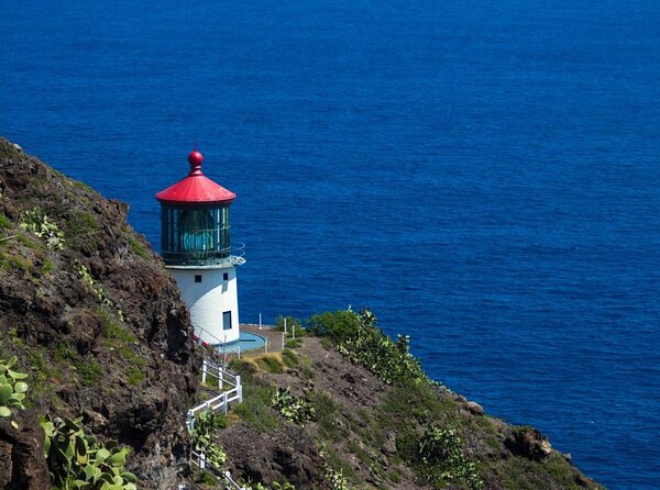 5 Hour Romantic Hawaii Jeep Tour - Key points at a glance