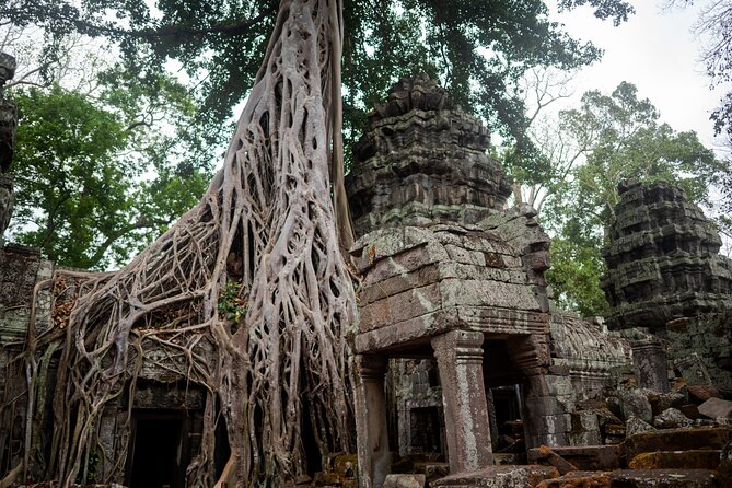 6-hour Angkor Sunrise & Private Tour (Solo, Couple & Family ) - Is $43.70 per person good value?