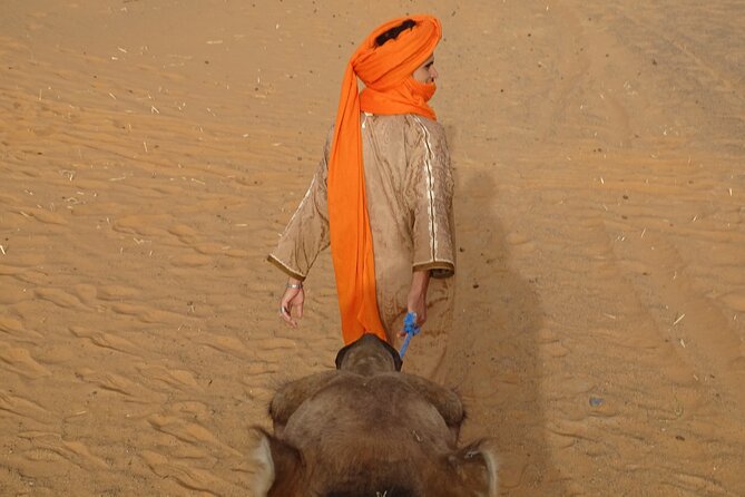 7-Day Romantic Tour in Morocco - Day 6: Marrakech, palace dining, and the medina at night