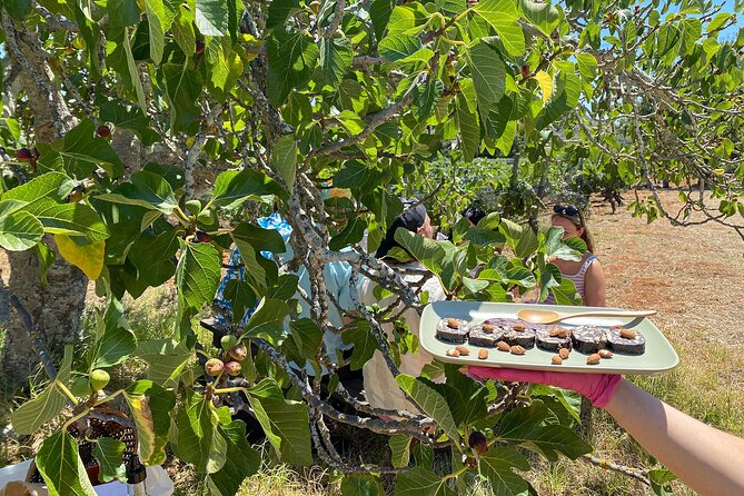 Algarve Romantic Vineyard Picnic in Carvoeiro - A regional picnic with one bottle to share