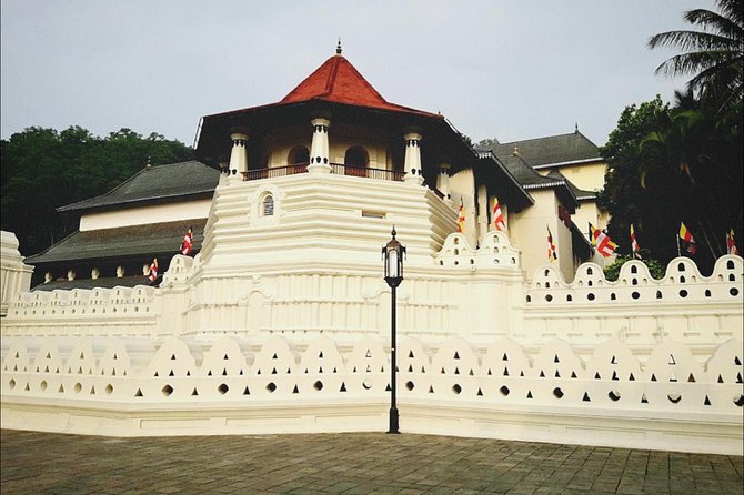All in one Sri lanka 7nights 8 days for couple price - A broad Sri Lanka route in seven nights