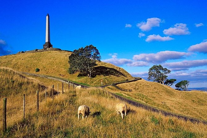 Auckland City Private Tour for Couples. Be chauffeur driven with added extras. - A private way to get your Auckland bearings