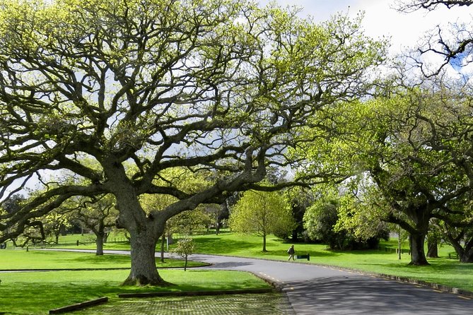 Auckland City Private Tour for Couples. Be chauffeur driven with added extras. - Bastion Point puts the harbour and Māori history together
