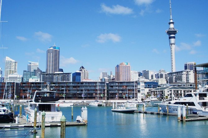 Auckland City Private Tour for Couples. Be chauffeur driven with added extras. - Mission Bay adds a waterfront choice
