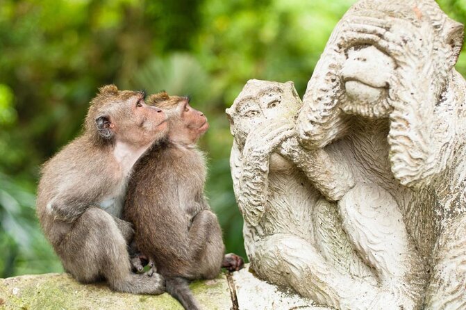Bali romantic floating breakfast - jungle swing - monkey forest - Ubud art shop. - A romantic Bali day with several different faces