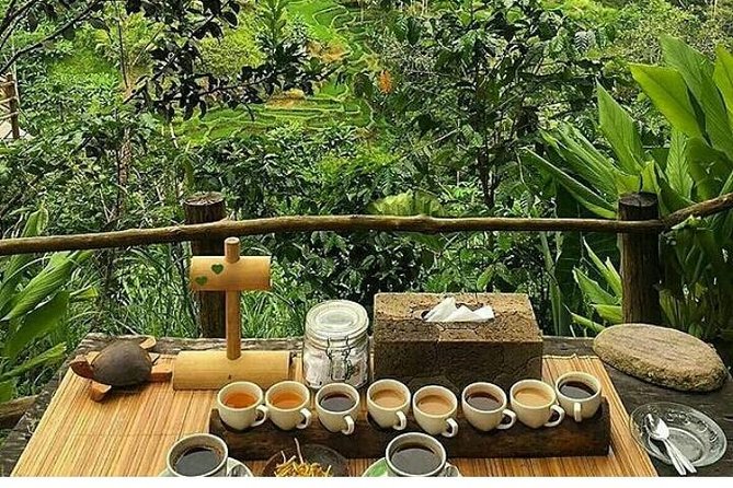Bali romantic floating breakfast - jungle swing - monkey forest - Ubud art shop. - What the $30 price really covers