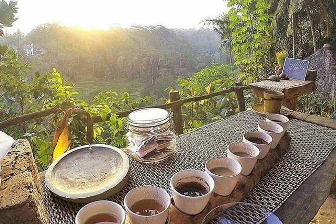 Bali romantic floating breakfast - jungle swing - monkey forest - Ubud art shop. - Booking advice and cancellation