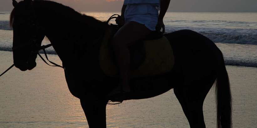 Bali: Romantic Seafood Dinner Jimbaran Beach Include Sunset - The one-hour dinner stop