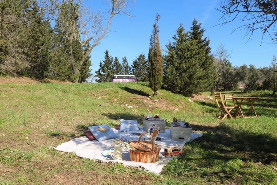 Carvoeiro, Portimão, Lagos: Algarve Romantic Vineyard Picnic - Small details that can make the evening better