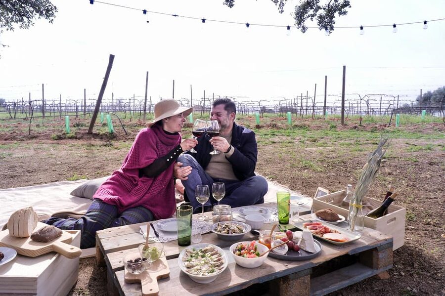 Carvoeiro, Portimão, Lagos: Algarve Romantic Vineyard Picnic - What the strongest praise tells you