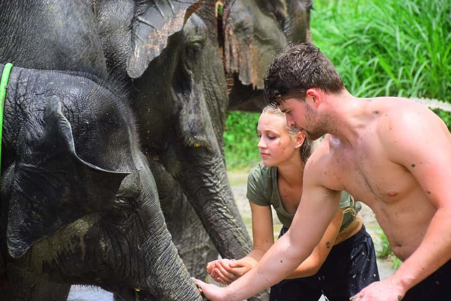 Chiang Mai: Private Elephant Care Experience for Couples - Key points at a glance