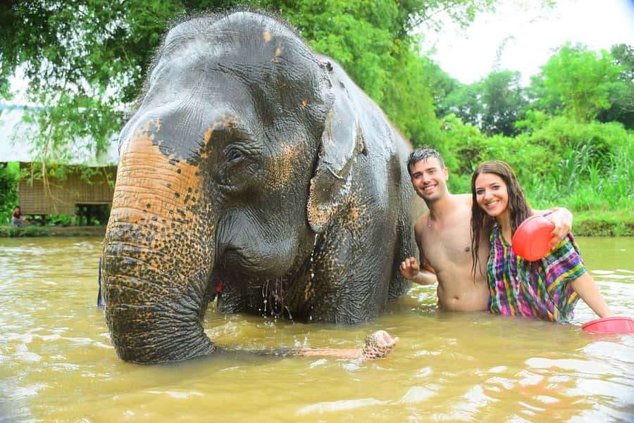 Chiang Mai: Private Elephant Care Experience for Couples - Feeding elephants in the mountain forest