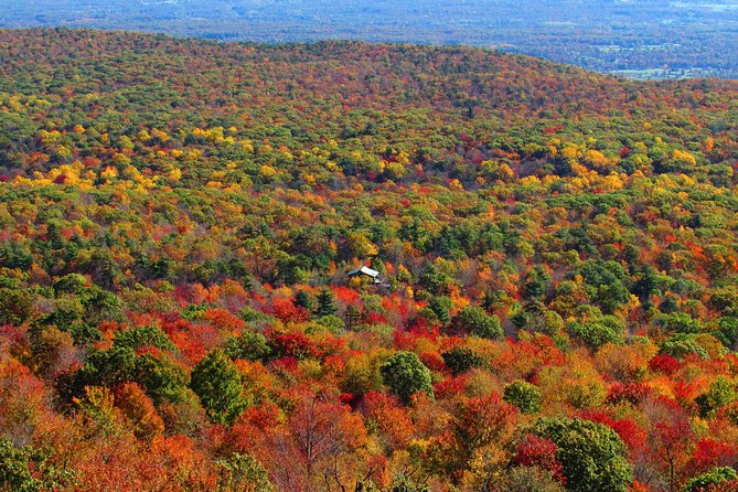Couple's Private Hudson Valley Fall Foliage Helicopter Tour from Westchester - Weather, safety rules, and other limits