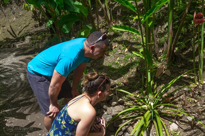 Couples Private St. Lucia Highlights Tour - La Soufriere’s drive-in volcano