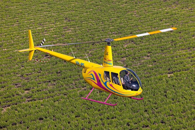 Couples Romantic Picnic - Taking off from Lyndoch for a southern Barossa view