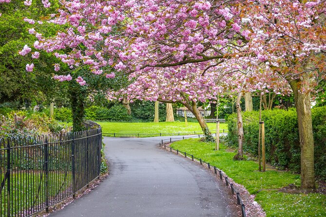 Cupid’s Trail: Romantic Puzzle Quest in Dublin - CHEWBREW Bubble Tea Room is the route’s weak link