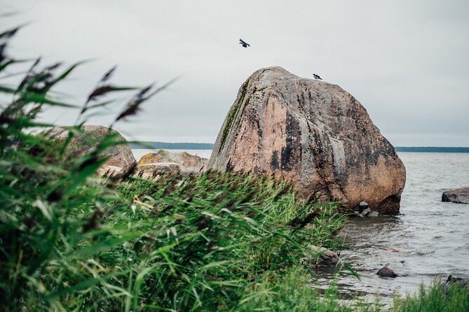 Day Trip to Land of Bays, the Romantic North-Coast from Tallinn - Walking across the Viru Bog trail