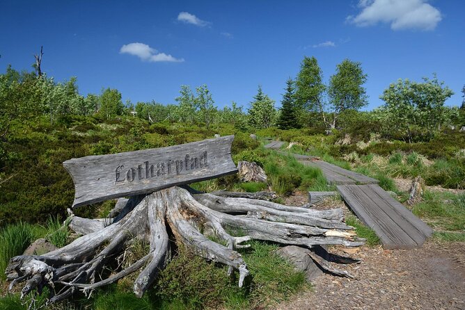 from Frankfurt - romantic Black Forest & brewery, private tour - Allerheiligen Waterfalls, the emotional high point