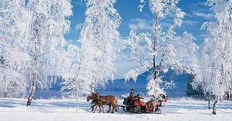 From Salzburg Romantic Carriage Ride through the Countryside - Key points to know before booking