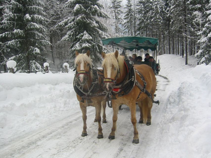 From Salzburg Romantic Carriage Ride through the Countryside - Free time in St Wolfgang