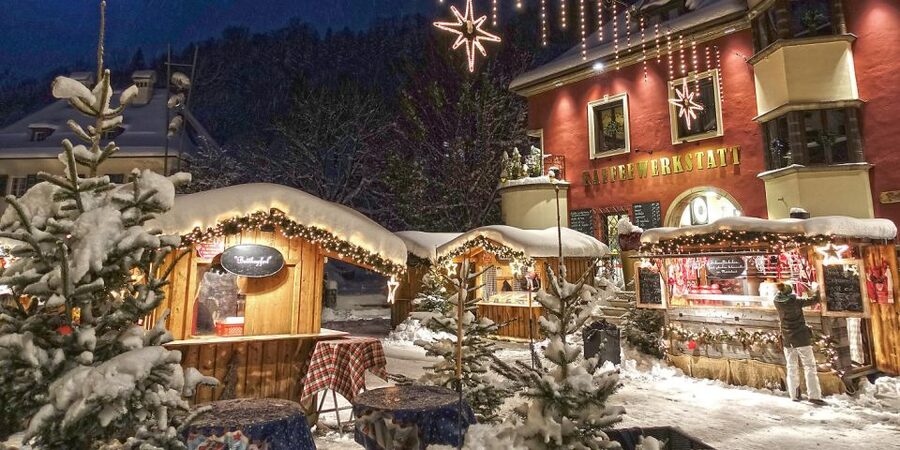 From Salzburg Romantic Carriage Ride through the Countryside - Is the $883 group price good value?