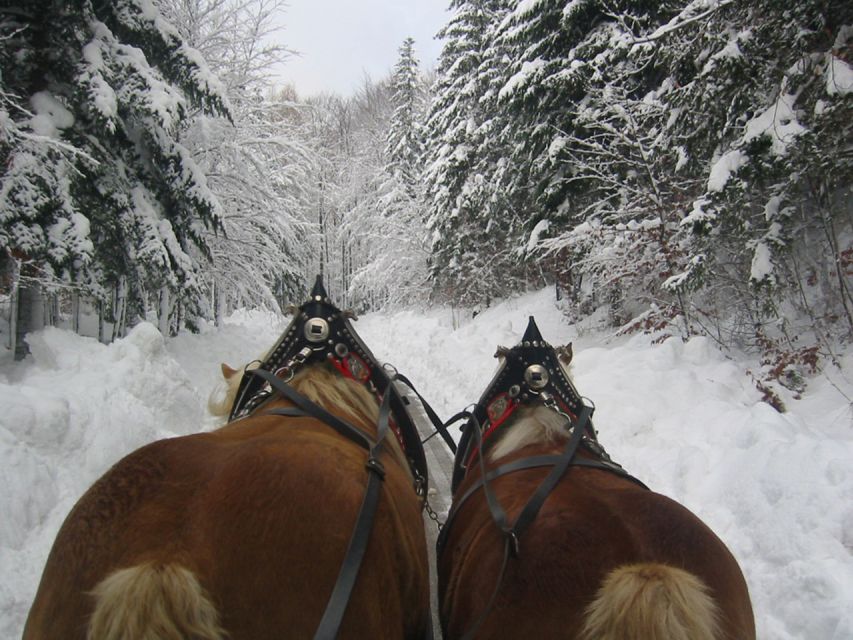From Salzburg Romantic Carriage Ride through the Countryside - Winter clothing and practical limits