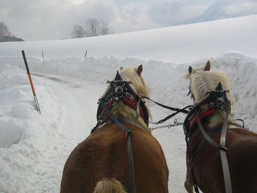From Salzburg Romantic Carriage Ride through the Countryside - Who will enjoy this most?