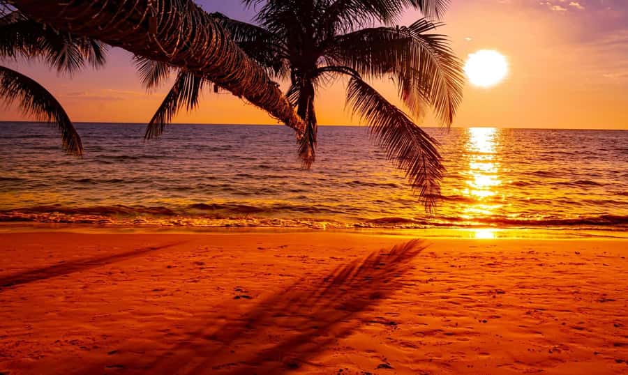 Grand Bay: Honeymoon/Lovers Sunset Tour with Romantic Dinner - Who will enjoy this most