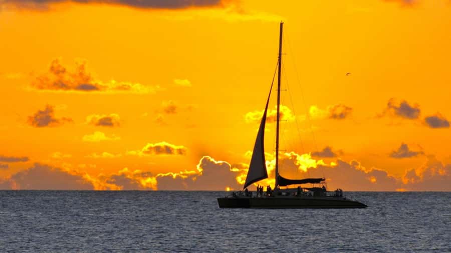 Grand Bay: Honeymoon/Lovers Sunset Tour with Romantic Dinner - Booking details worth checking