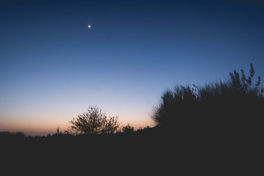 Jaisalmer: Romantic Night with Luxury Desert Camping - Dinner, music, and a comfortable tent