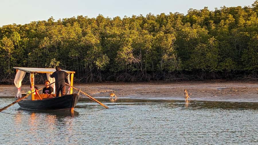 Koh Lanta: Romantic Sunrise Private Gondola Tour - A local breakfast with fish, sticky rice, and hot drinks