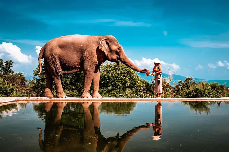 Koh Samui: Private Photoshoot for Couples & Families - What happens from hotel lobby to final pose