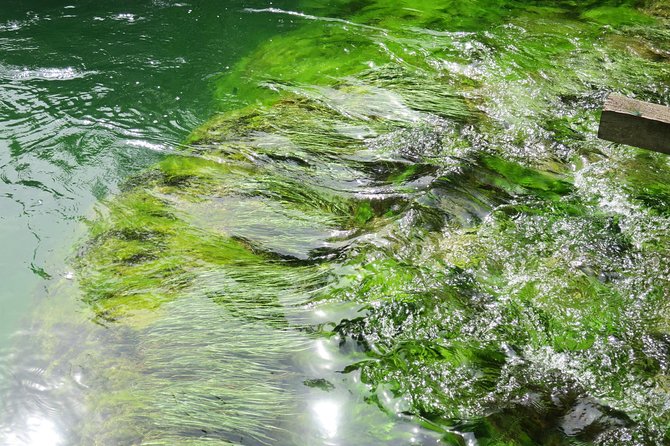 Krka waterfalls luxury tour for singles or couples - What the $199.53 price really buys