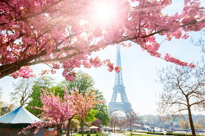 Live, Laugh, Love Along the Seine: Self-Guided Romantic Tour - Shakespeare and Company, Notre-Dame, and Île de la Cité