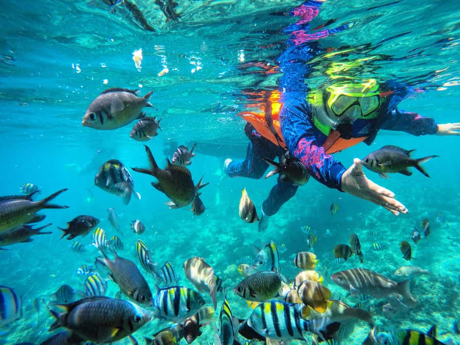 Lombok: Romantic Island Escape—Gili Nanggu, Sudak & Kedis - Key points at a glance