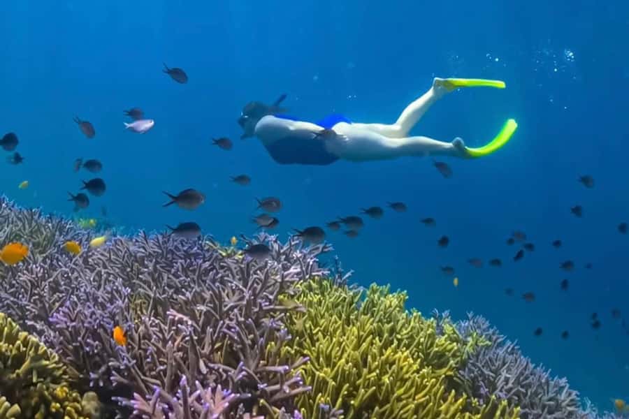 Lombok: Romantic Island Escape—Gili Nanggu, Sudak & Kedis - What the private setup really adds