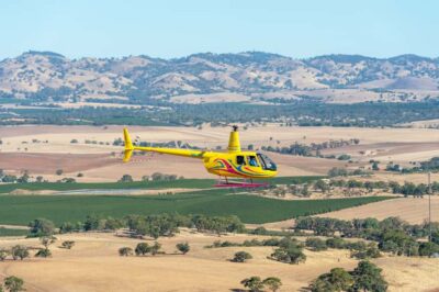 Lyndoch: Barossa Valley Helicopter Flight & Romantic Picnic