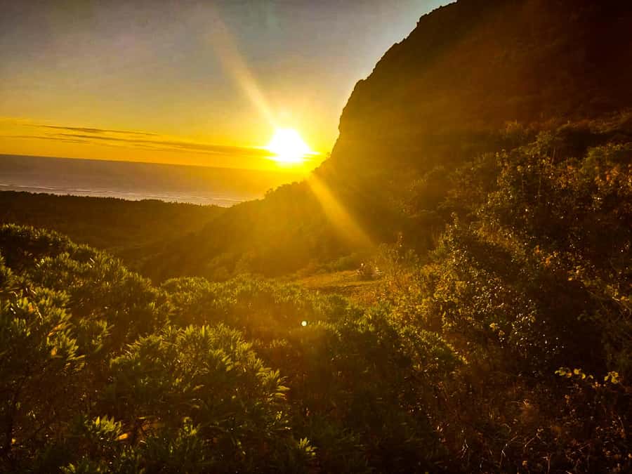Mauritius: Exclusive Le Morne Sunset Hike & Aperitivo - The 1.5-hour walk up Le Morne