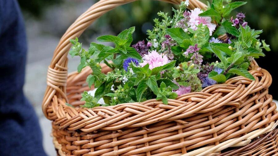 Meißen: Guided Walking Tour 'Romantic Evening Stroll' - Who will enjoy this walk most