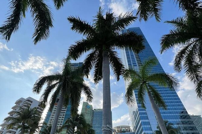 Miami Magic City Romantic Date Tour - Is $250 per person a fair value?