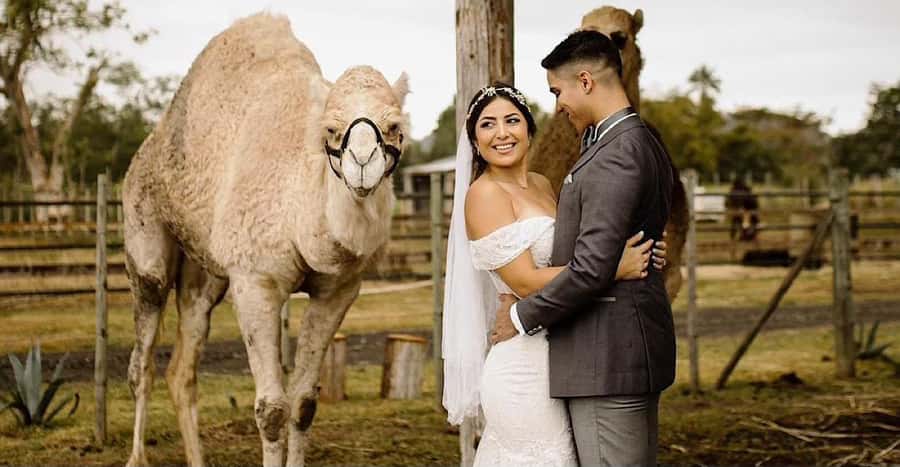 Moroccan Luxury Wedding Ritual: Full romantic experience - A Moroccan wedding begins with henna and tea