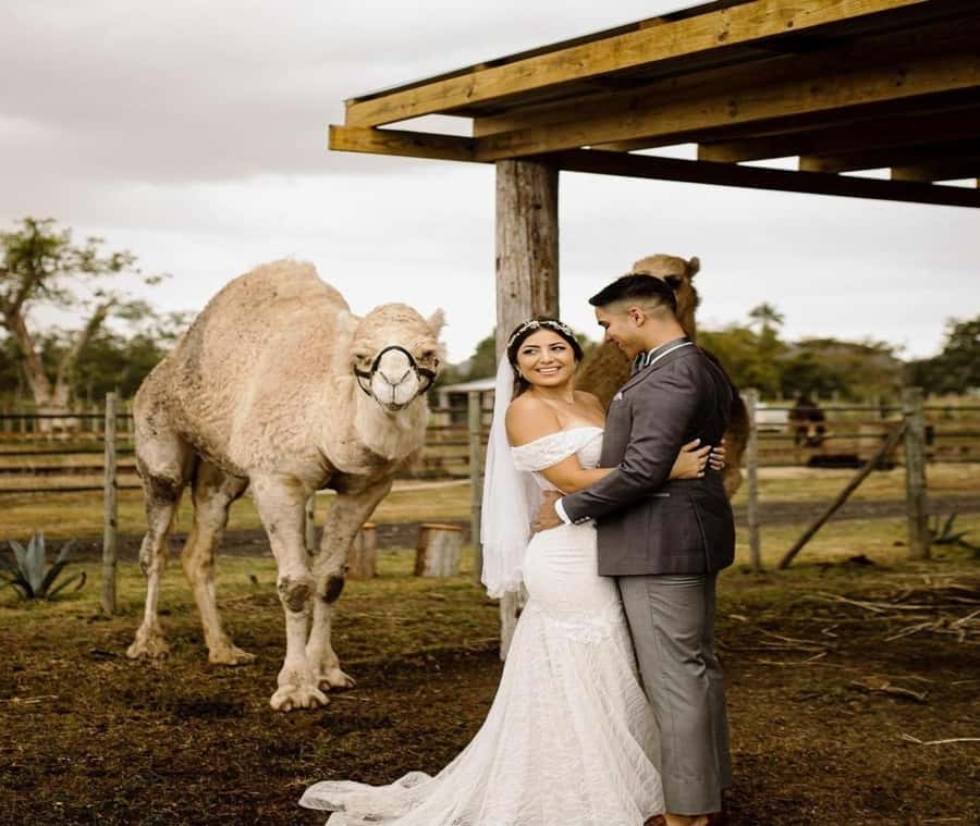 Moroccan Luxury Wedding Ritual: Full romantic experience - Dinner, wine, and local music close the evening