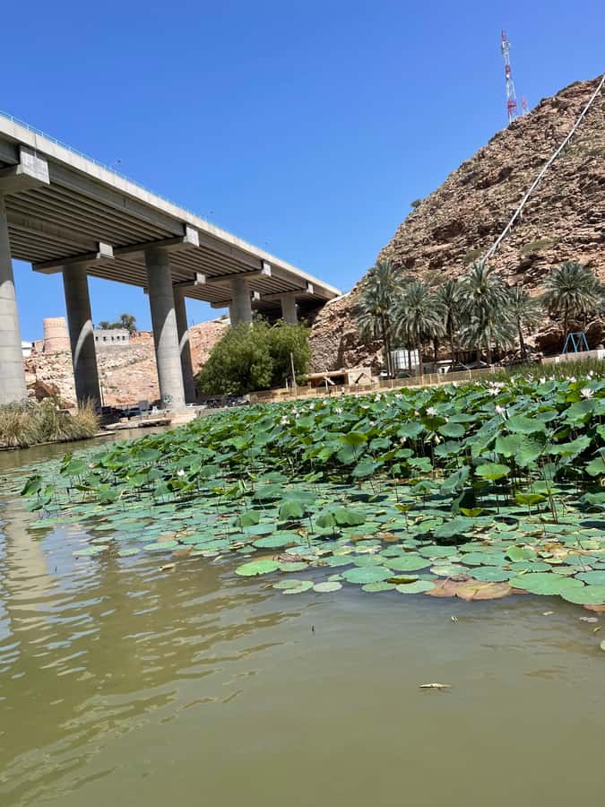 Muscat: Wadi Shab, Romantic Cave and Sinkhole Full-day Trip - What lunch, snacks, and guiding add to the value