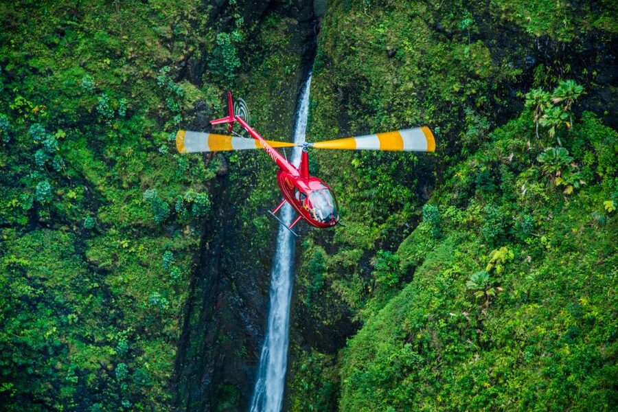 Oahu: Exclusive Private Romantic Flight - The Windward Coast and Mt. Olomana