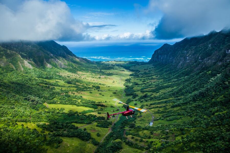 Oahu: Exclusive Private Romantic Flight - Dole Plantation, Pearl Harbor, and the return